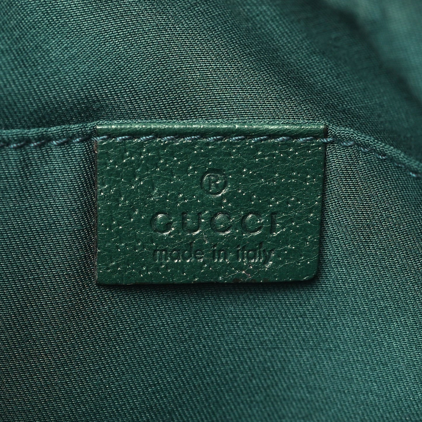 Monogram Web Mini Pop Hobo Green
