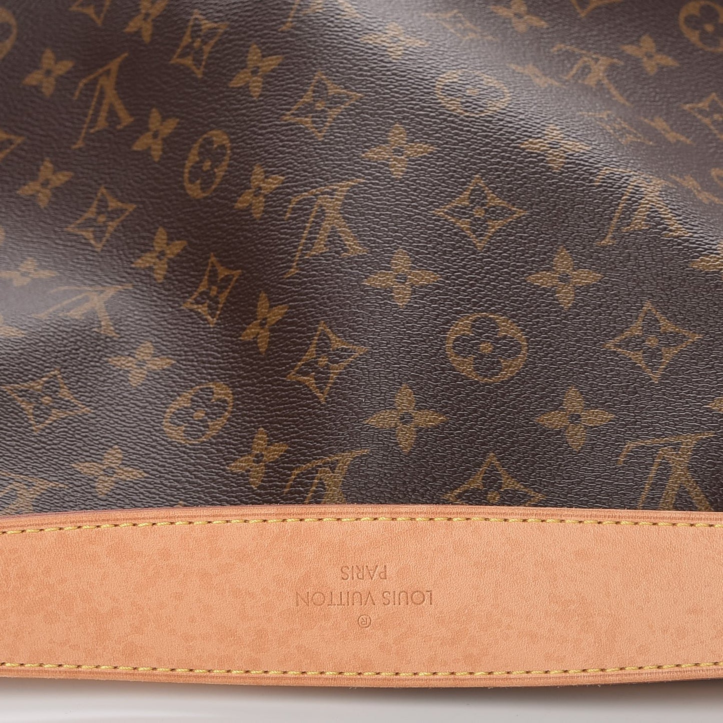 Monogram Delightful MM