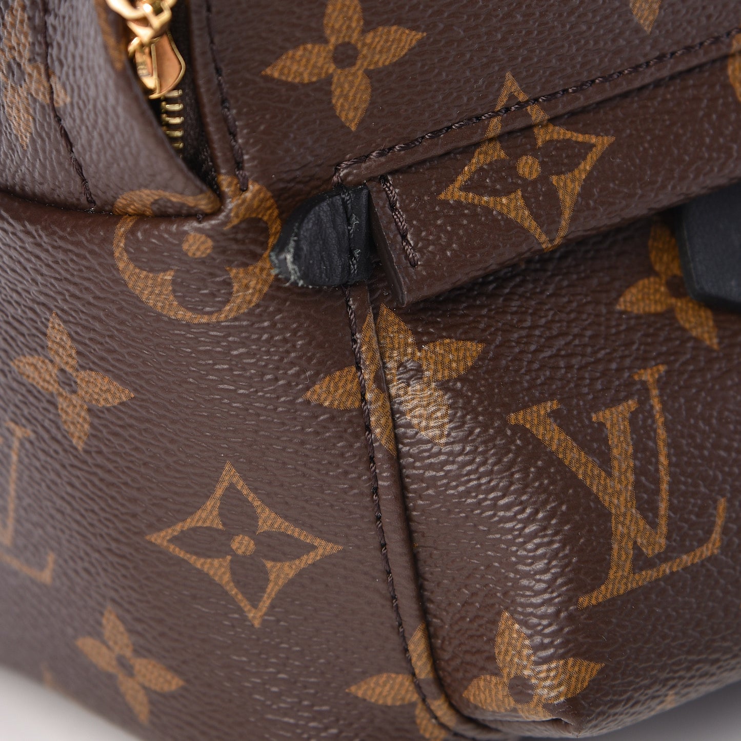 Monogram Palm Springs Backpack Mini
