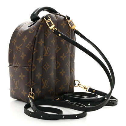 Louis Vuitton Monogram Palm Springs Backpack Mini 2 of 11