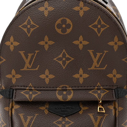 Louis Vuitton Monogram Palm Springs Backpack Mini 9 of 11