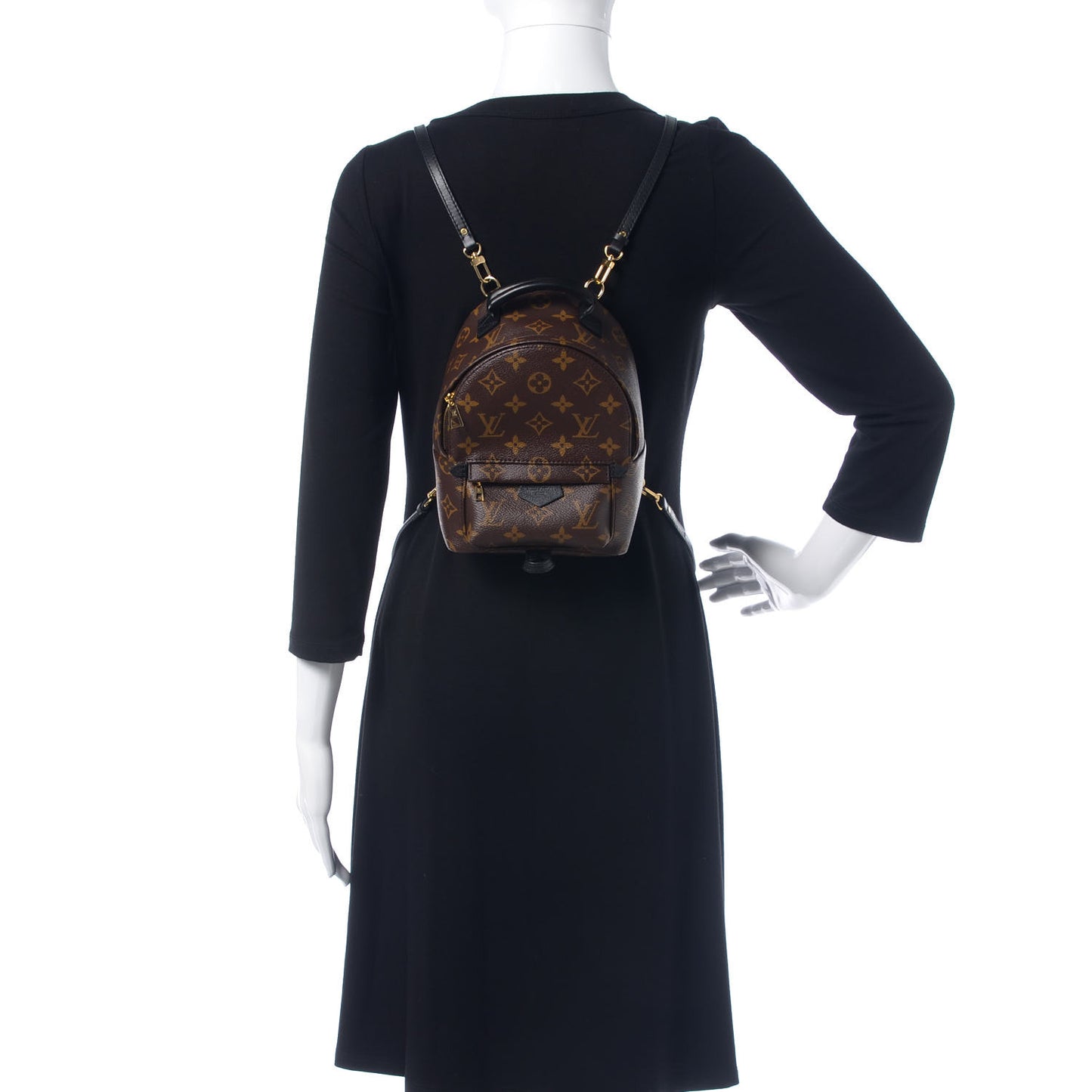 Monogram Palm Springs Backpack Mini