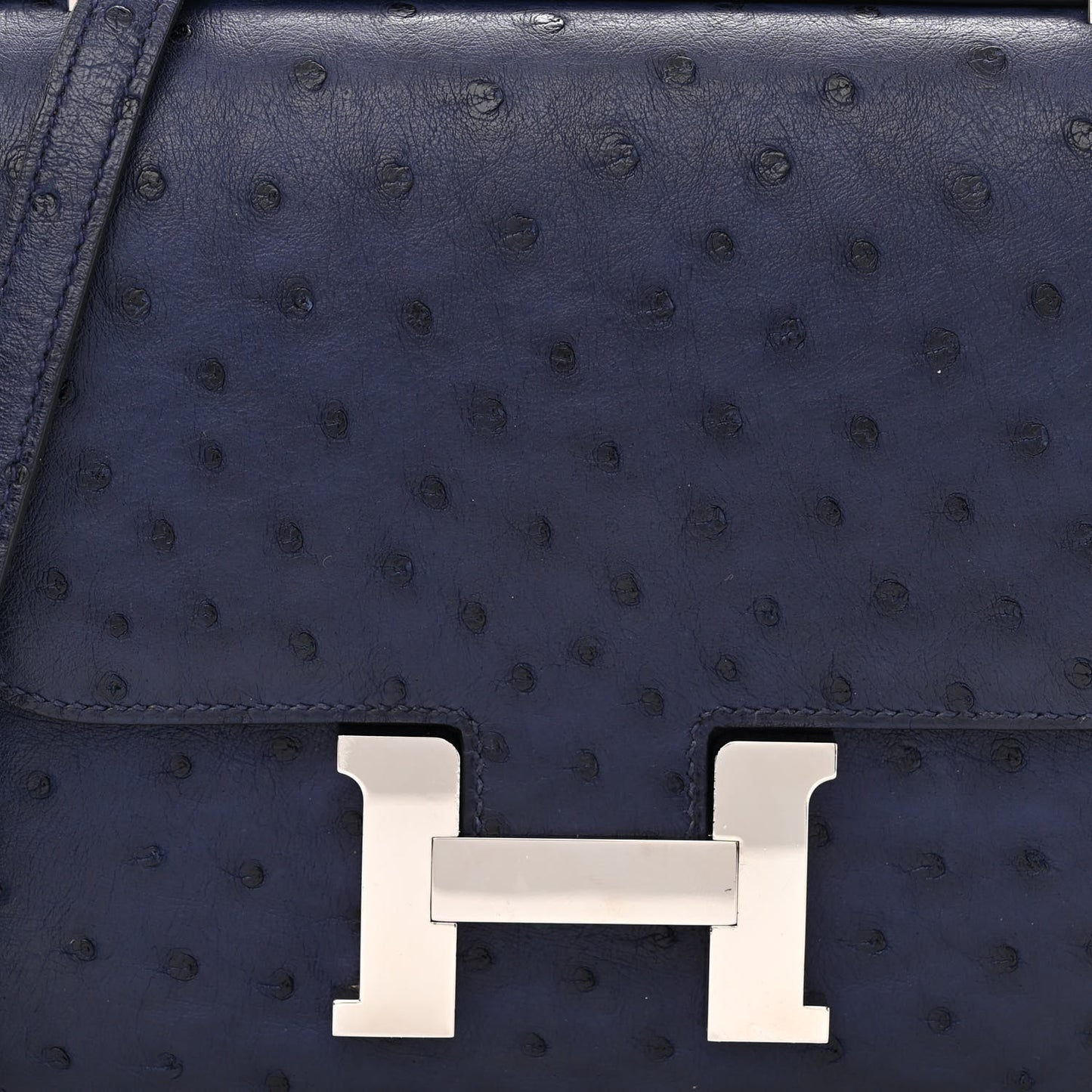 Ostrich Constance 18 Bleu Iris