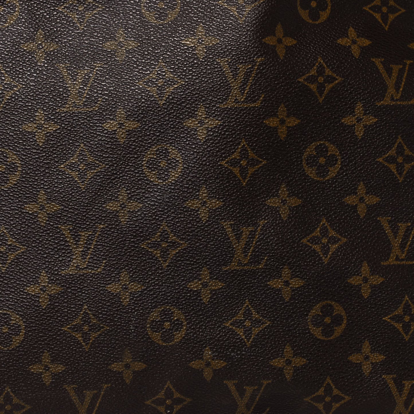Monogram Garment Bag