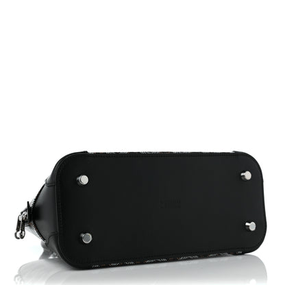 Goyard Goyardine Mini Vendome Black 3 of 7