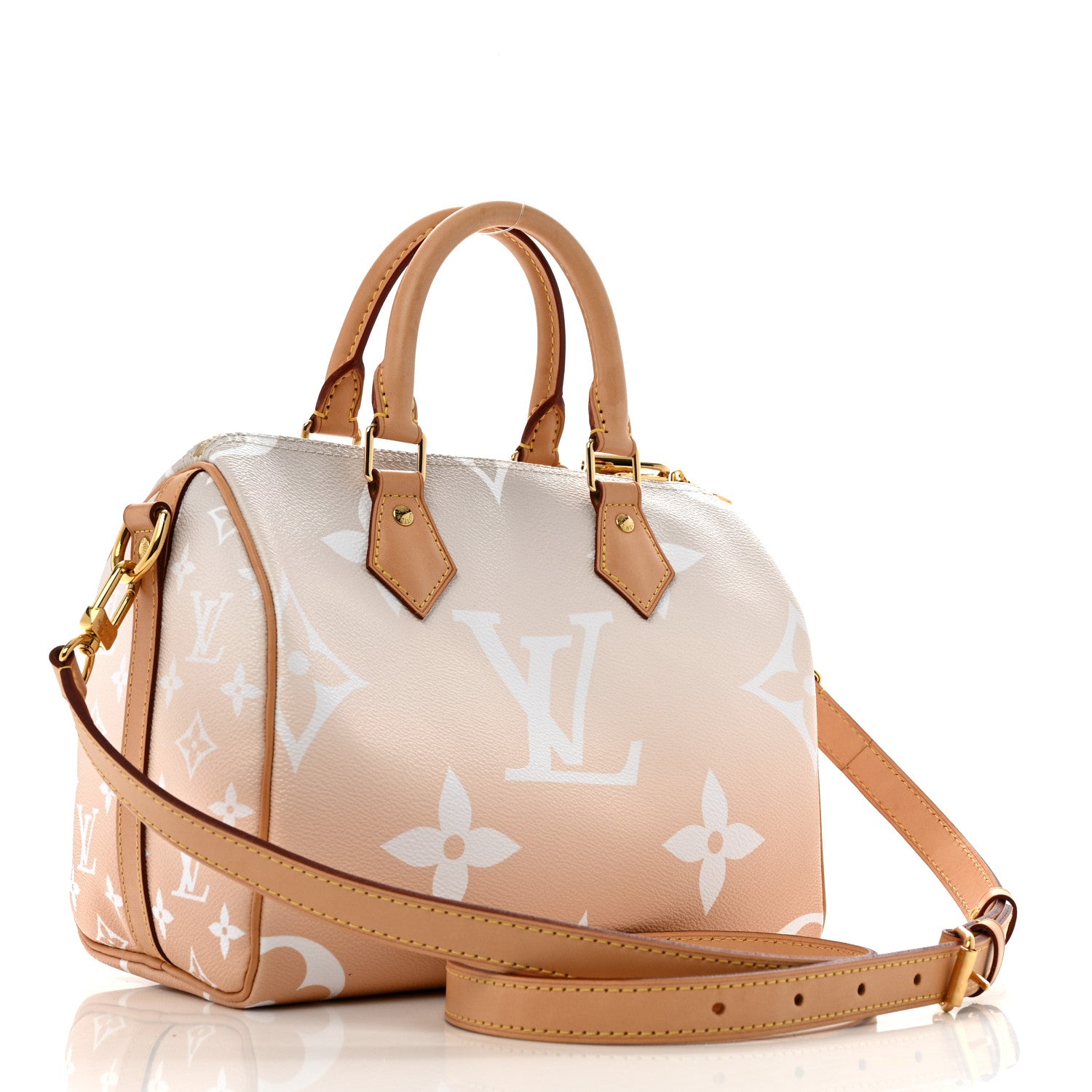 Louis Vuitton Monogram Giant By The Pool Speedy Bandouliere 25 Brume 3 of 11
