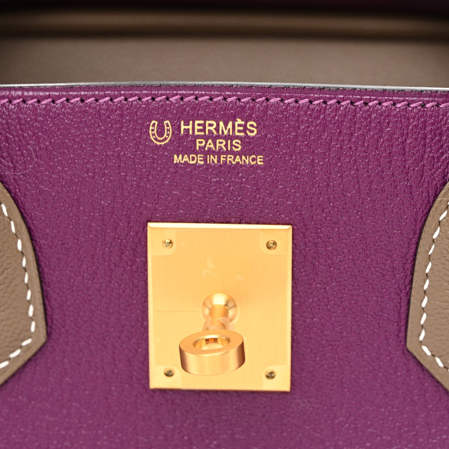 Chevre Mysore Bi-Color Horseshoe Birkin 30 Anemone Etoupe