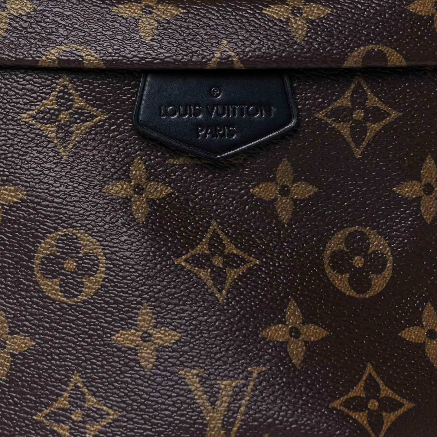 Monogram My LV World Tour Bumbag