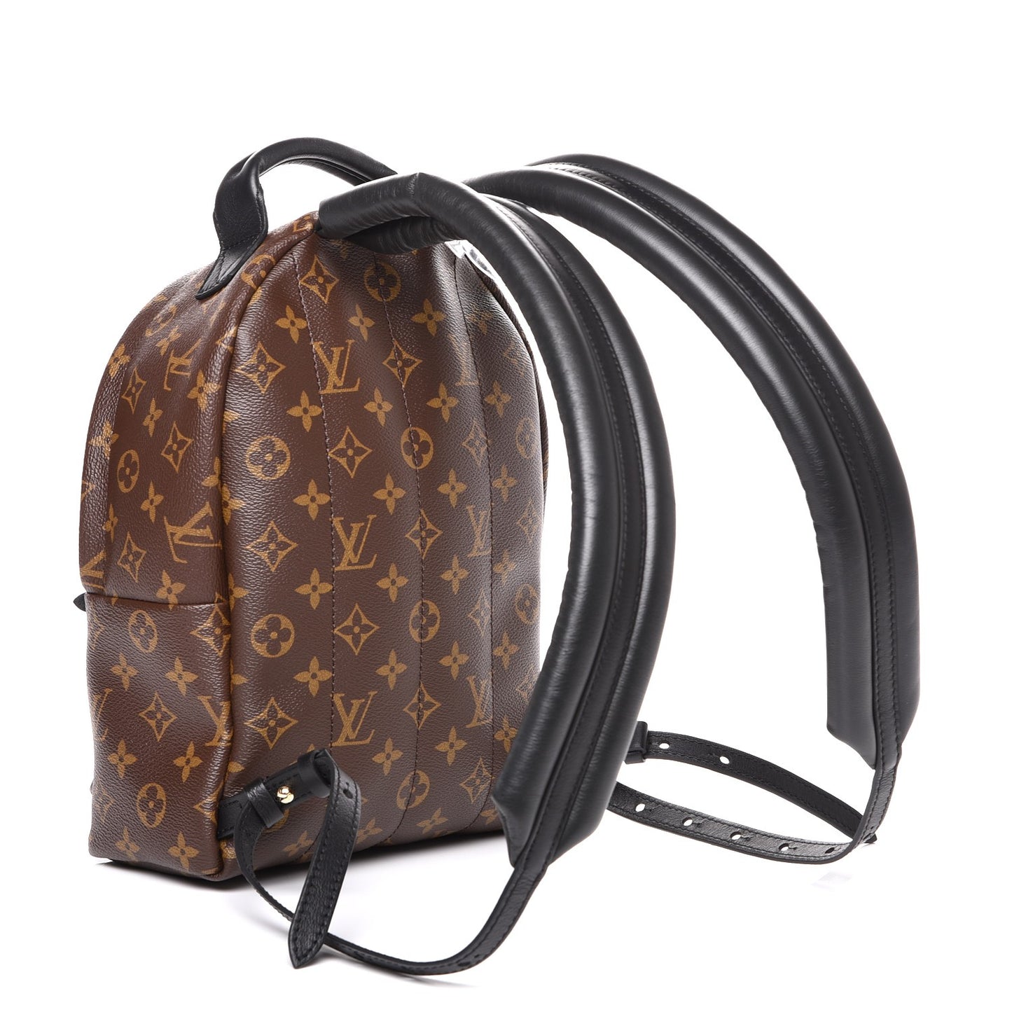 Monogram Palm Springs Backpack PM