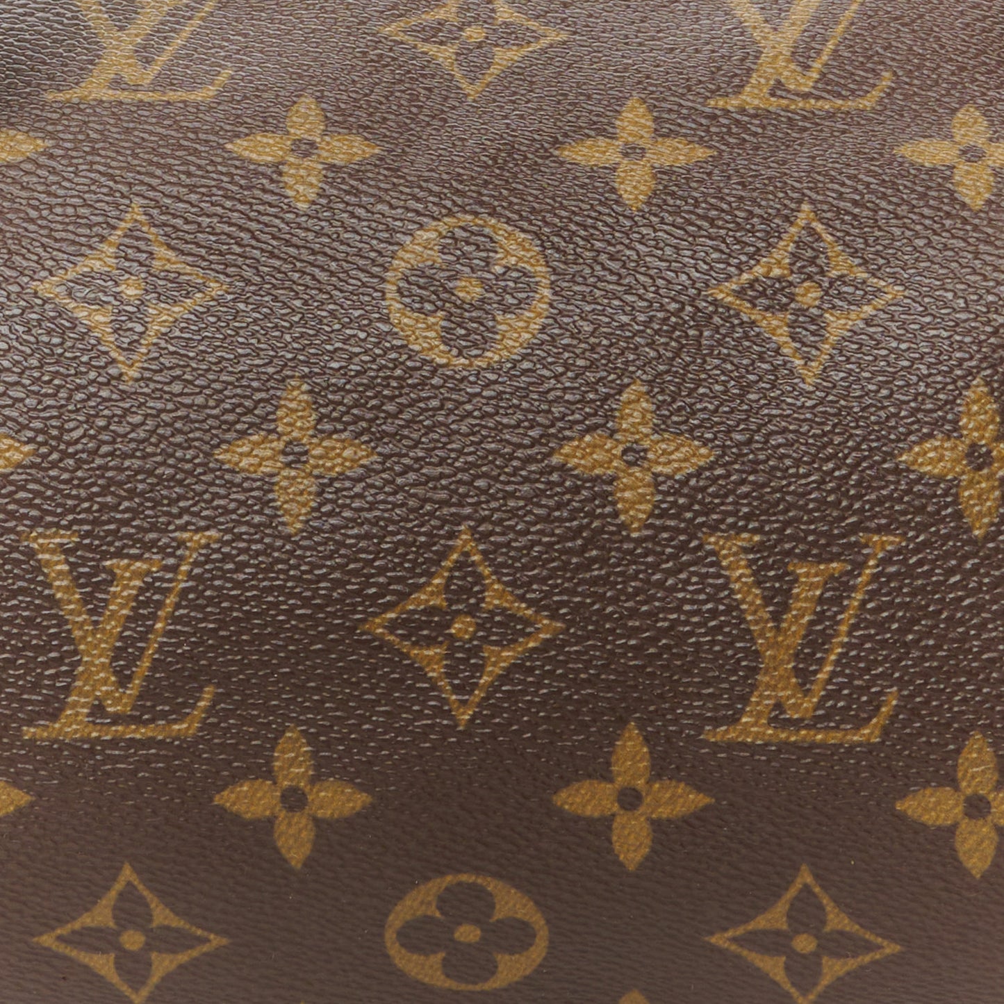 Monogram Papillon 30