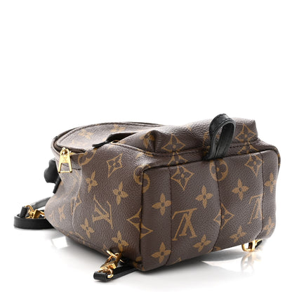 Louis Vuitton Monogram Palm Springs Backpack Mini 4 of 9