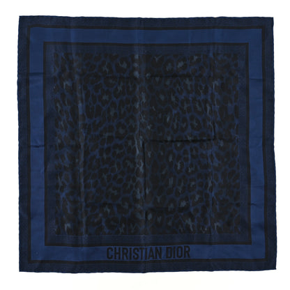 Christian Dior Silk Mizza Scarf Blue 1 of 3