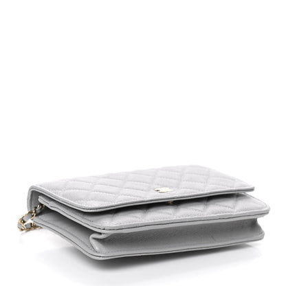 Chanel Caviar Quilted Wallet On Chain WOC Grey 4 of 11