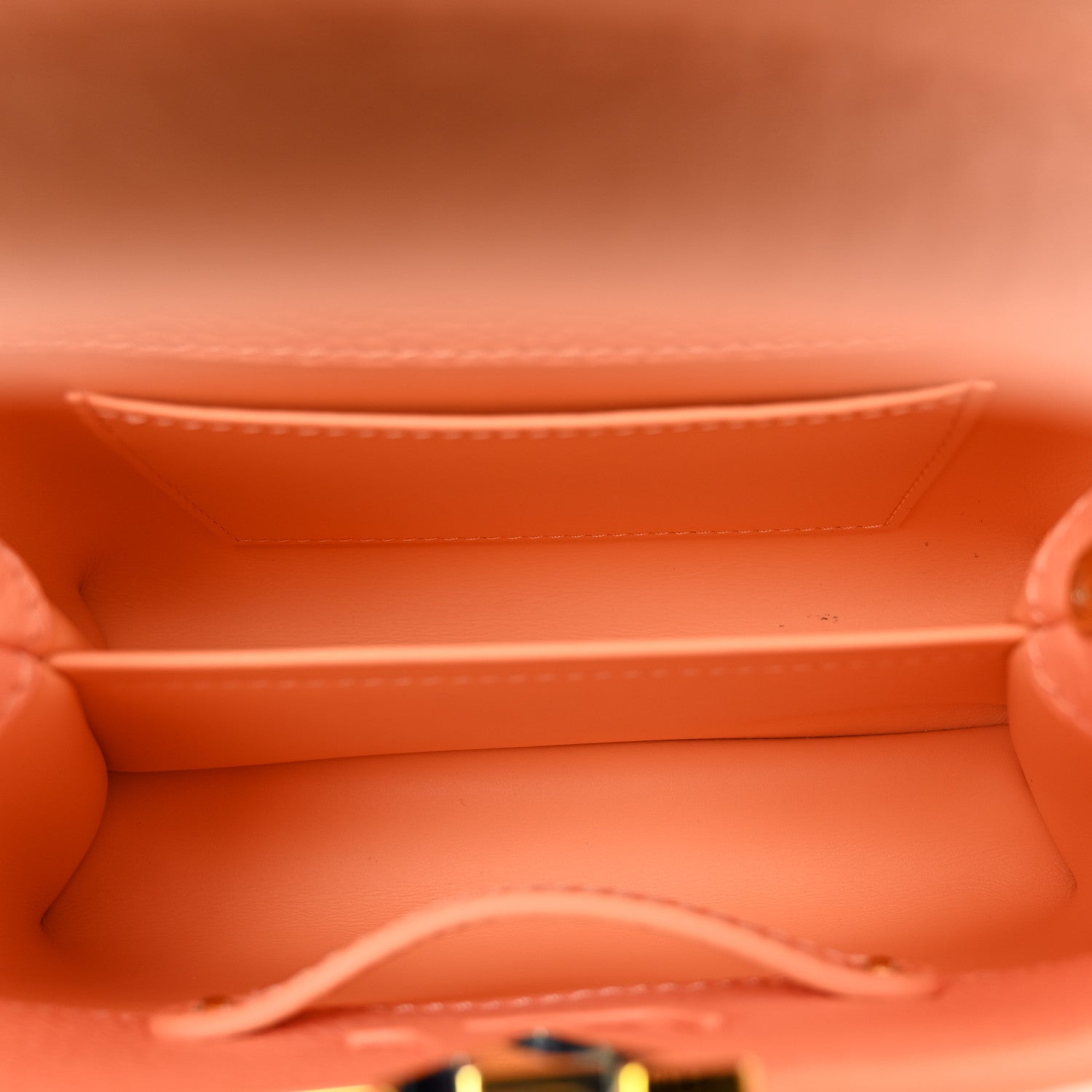 Louis Vuitton Taurillon Mini Capucines Abricot 5 of 11