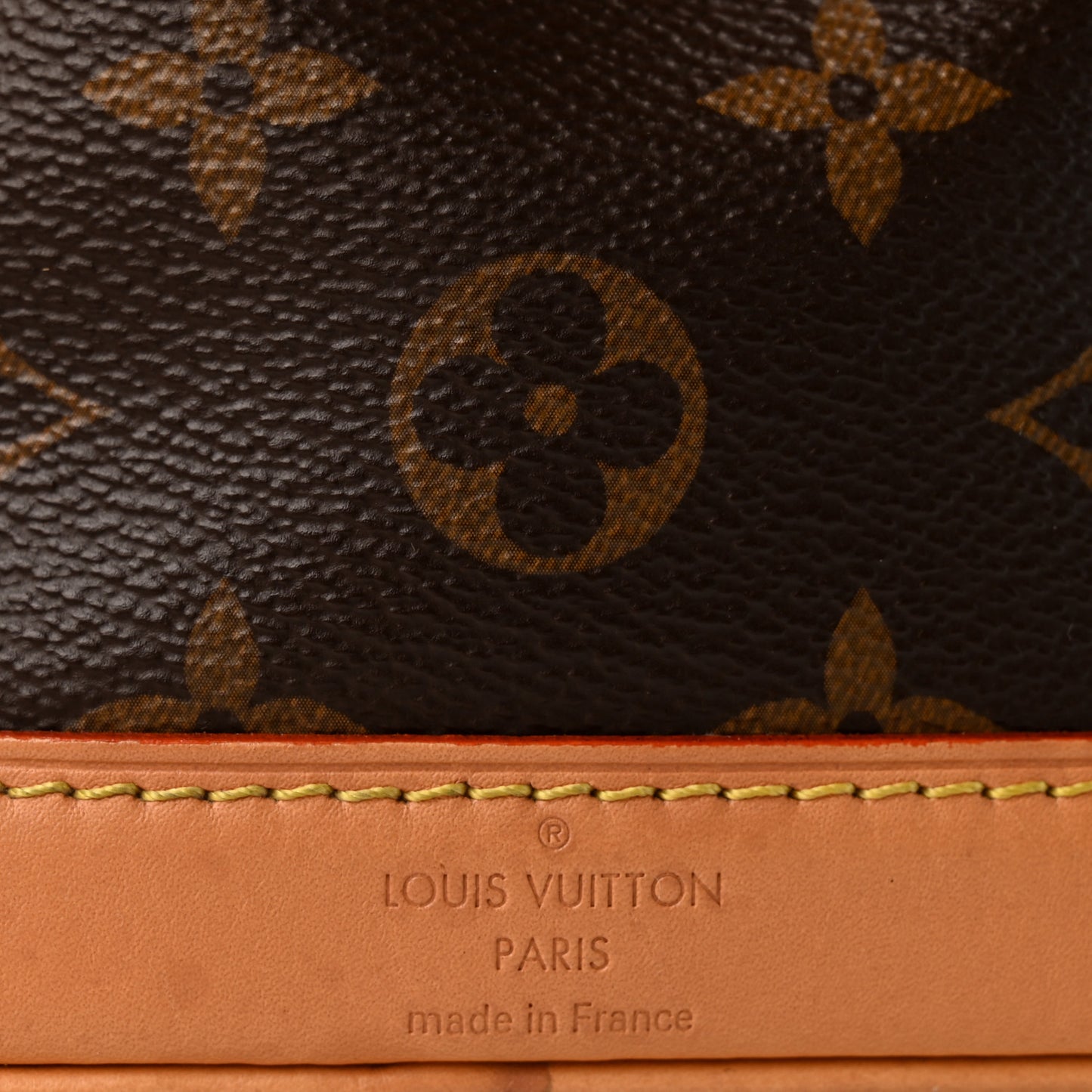 Monogram Nano Noe NV