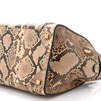 Celine Snakeskin Mini Luggage Beige 10 of 10