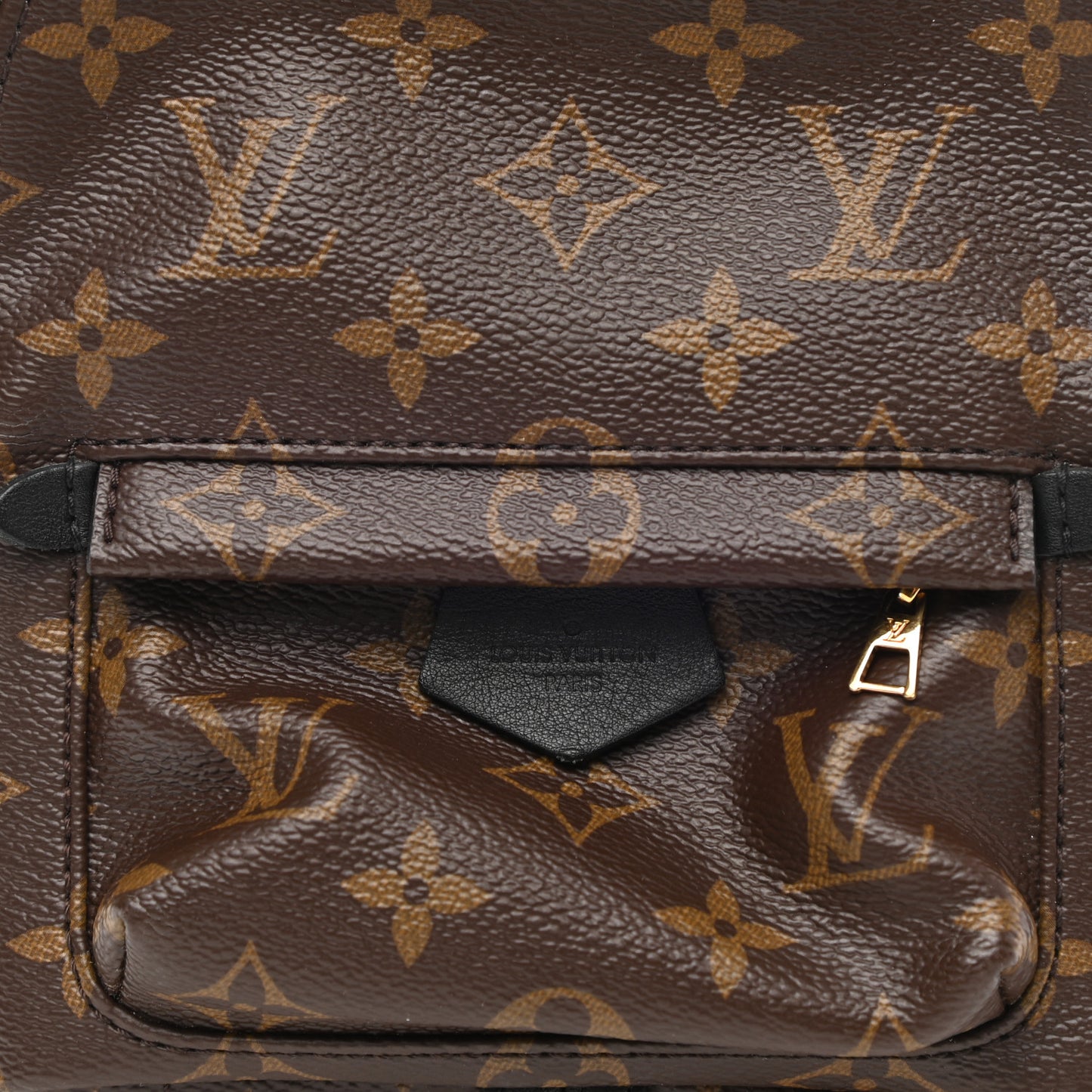 Monogram Palm Springs Backpack Mini