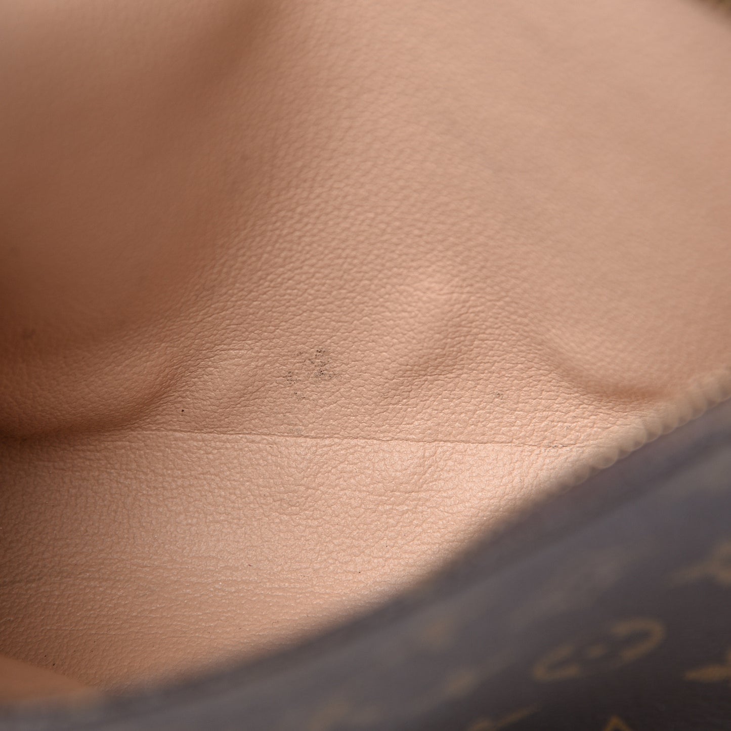 Monogram Toiletry Pouch 19
