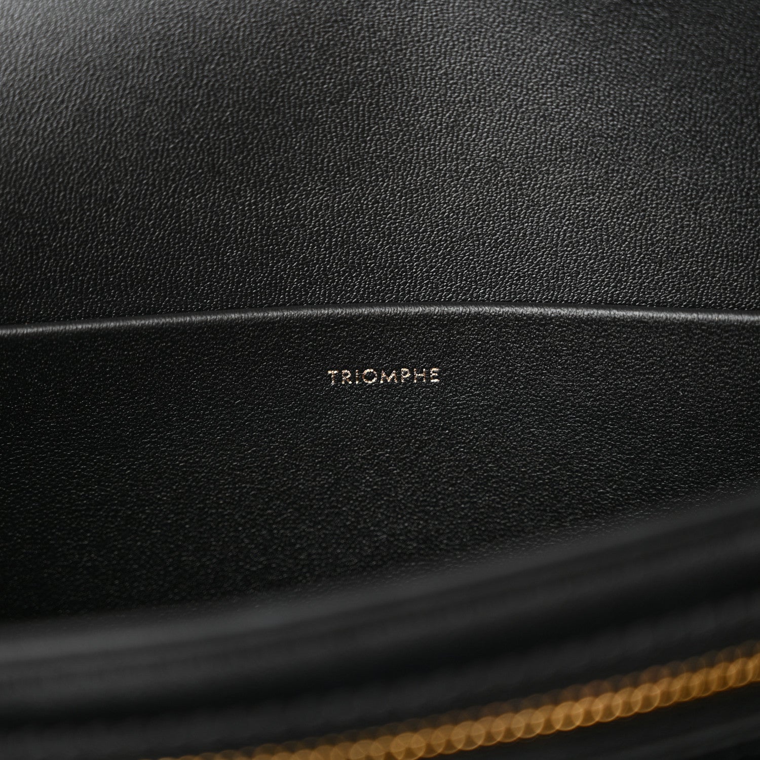 Celine Shiny Calfskin Medium Triomphe Black 6 of 11