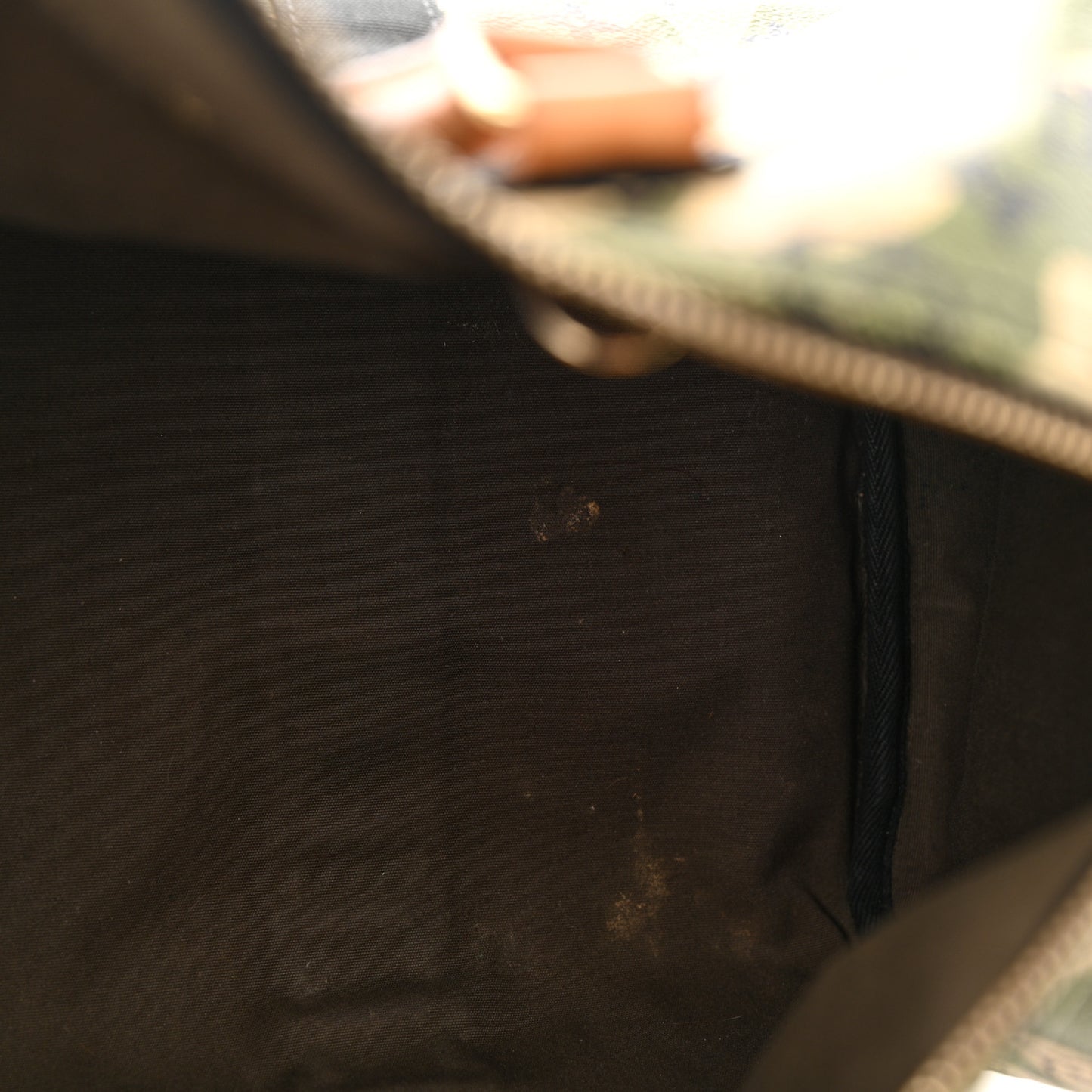 Monogram Camouflage Speedy 35