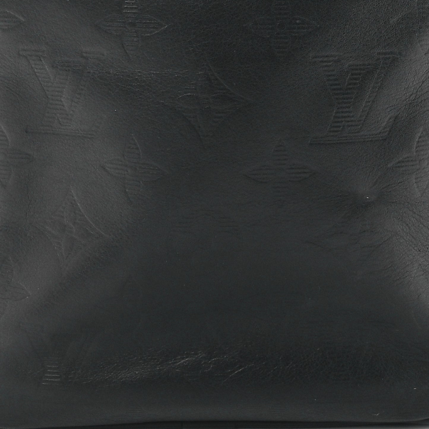 Calfskin Monogram Shadow Danube PM Black