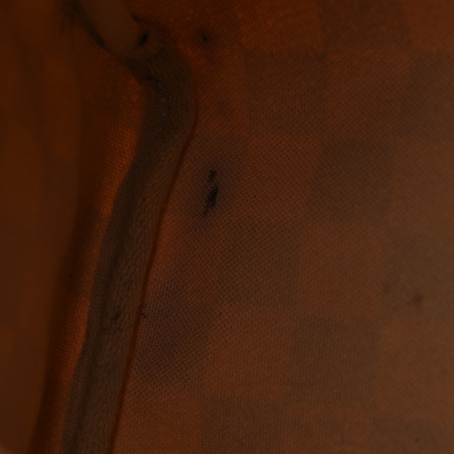 Damier Azur Speedy 25