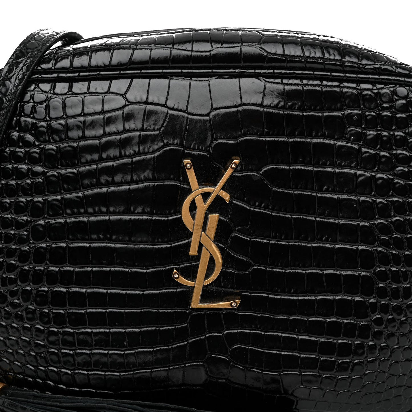 Patent Calfskin Crocodile Embossed Monogram Lou Camera Bag Black