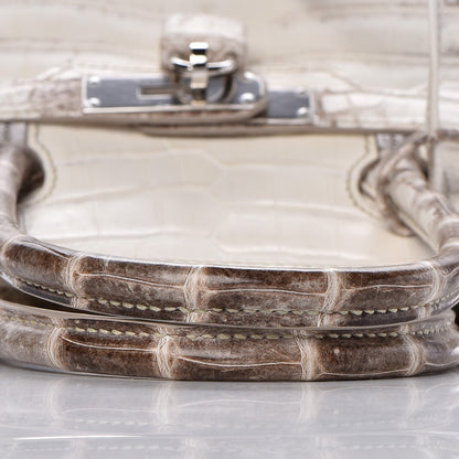 Hermes Matte Niloticus Crocodile Himalaya Birkin 30 Blanc 31 of 49