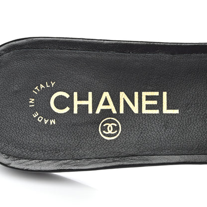 Chanel Lambskin Beaded CC Mules 39 Black 7 of 9