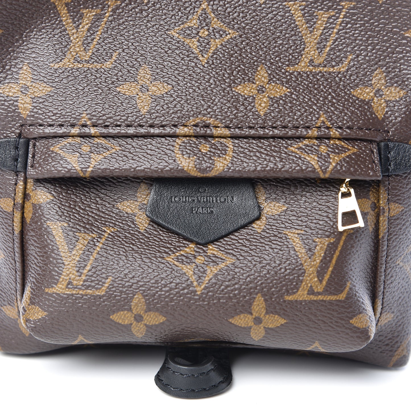 Monogram Palm Springs Backpack Mini