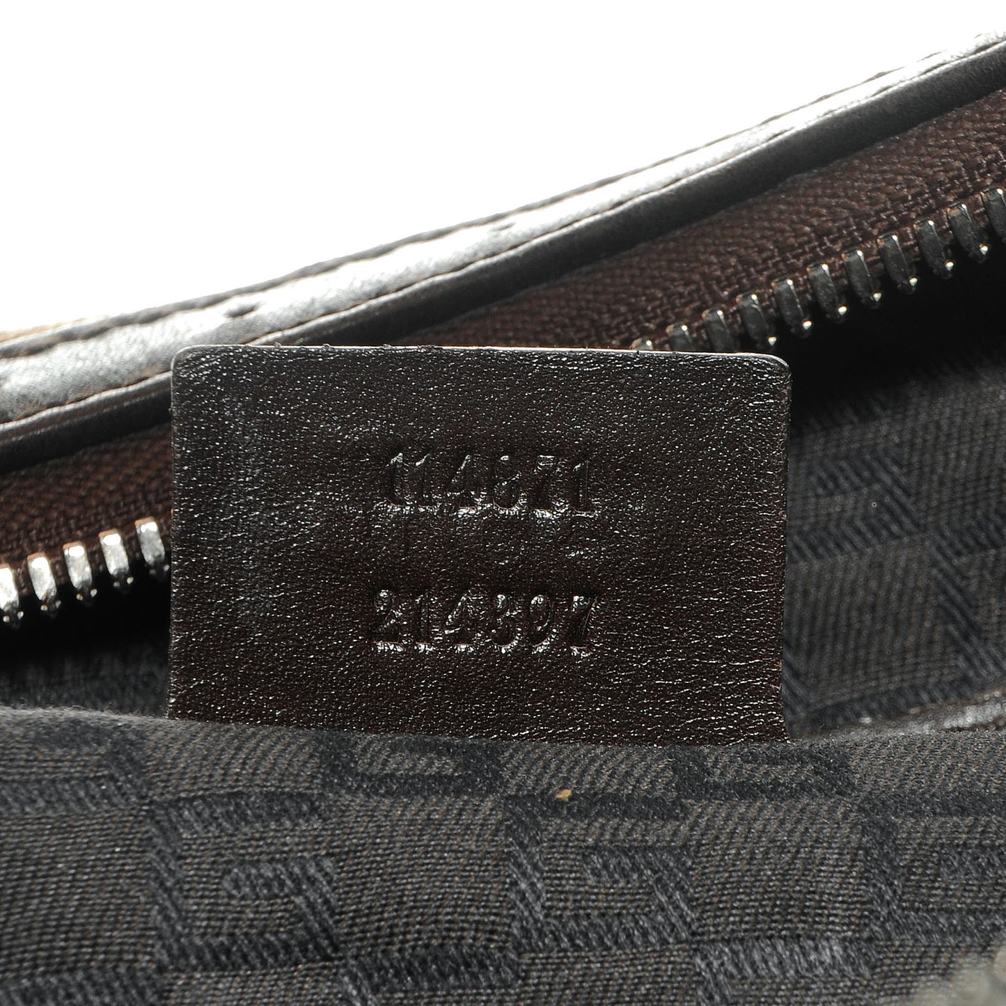 Canvas Web Reins Hobo