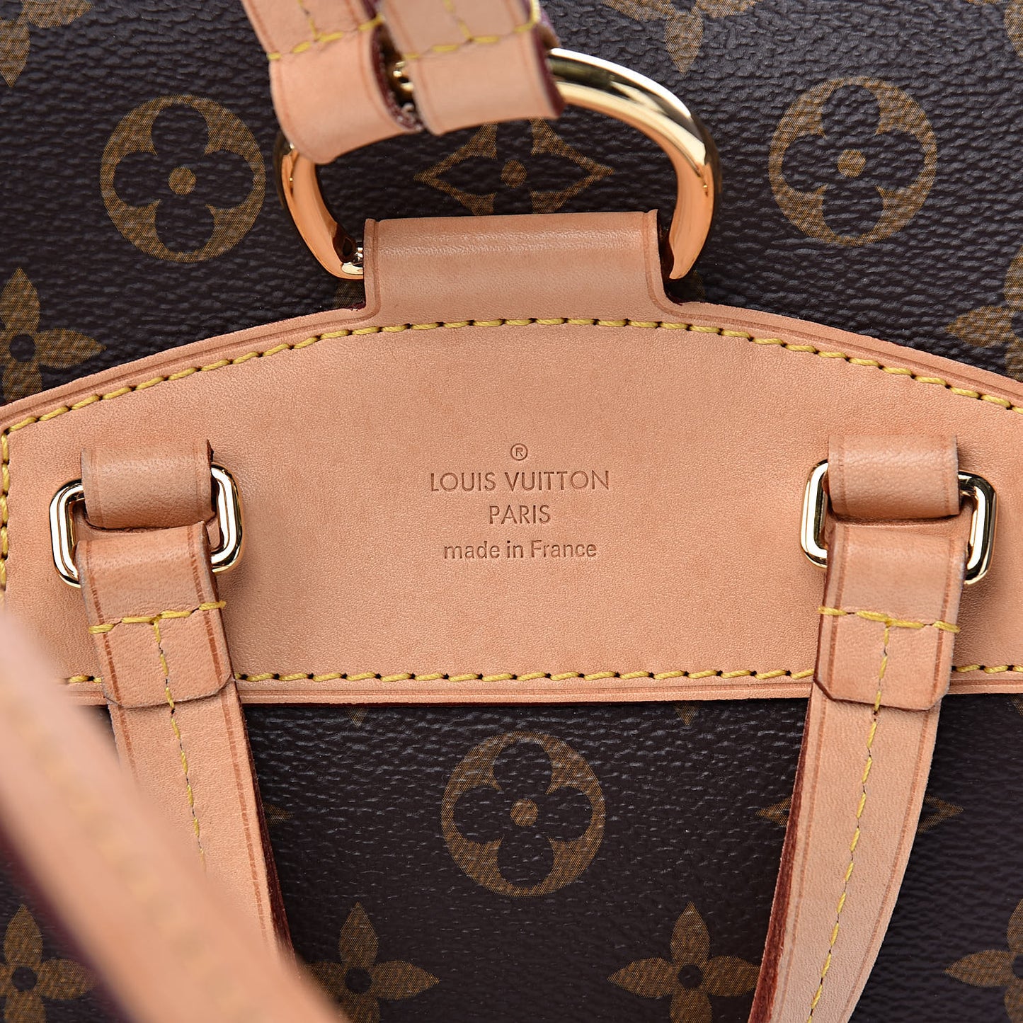 Monogram Montsouris NM Backpack