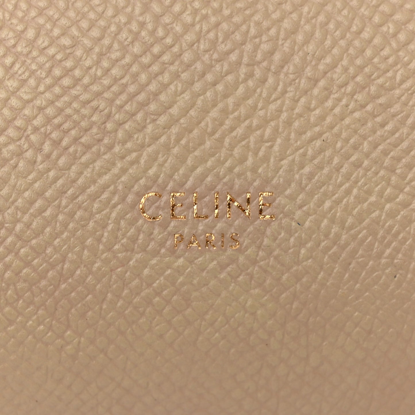 Grained Calfskin Nano Belt Bag Light Taupe