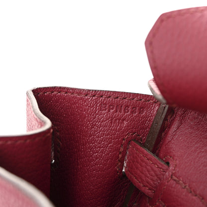 Hermes Togo Birkin 25 Rubis 7 of 11