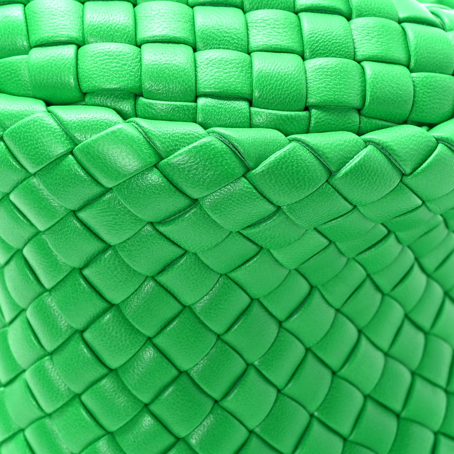 Rubber Intreccio Padded Mini Jodie Parakeet