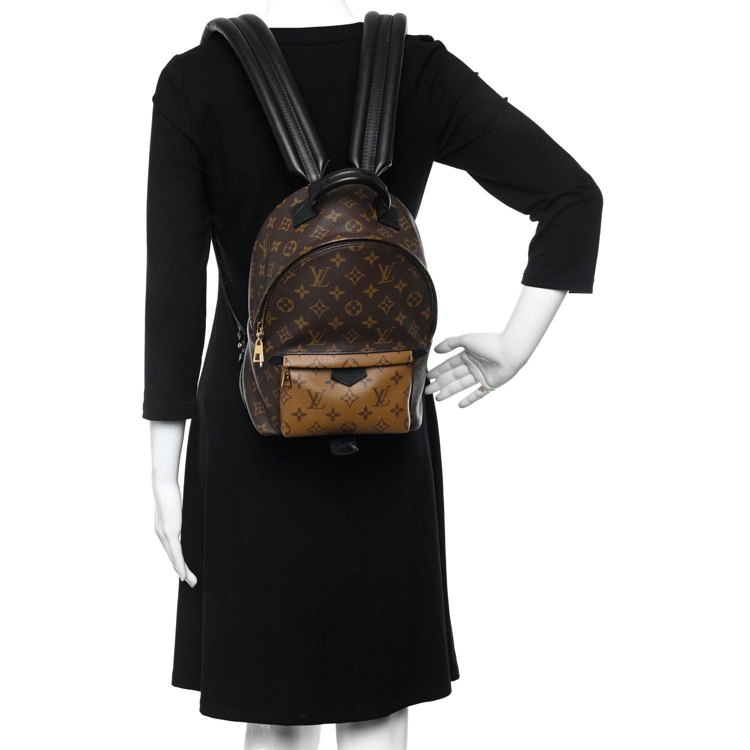 Louis Vuitton Reverse Monogram Palm Springs Backpack PM 2 of 10
