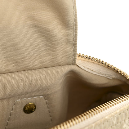 Louis Vuitton Mini Lin Speedy 30 Dune 7 of 13