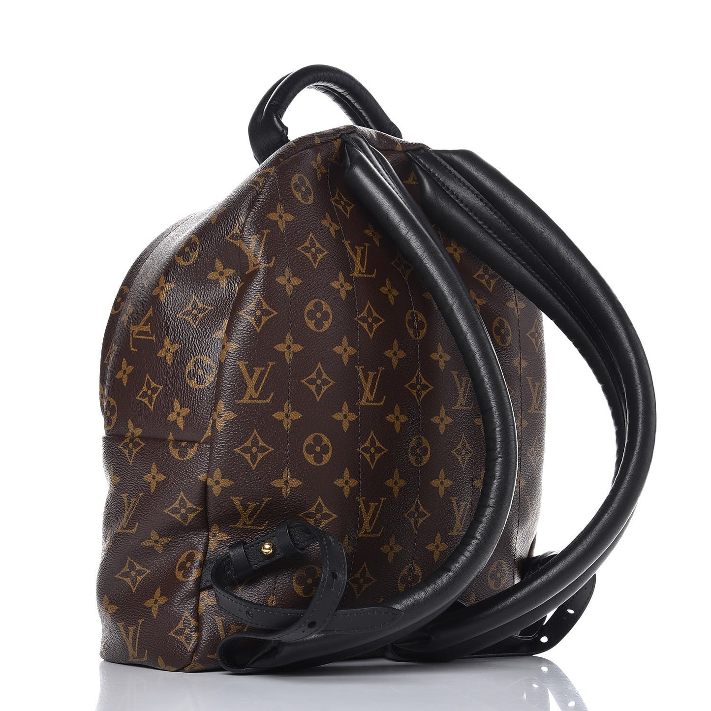 Monogram Palm Springs Backpack MM