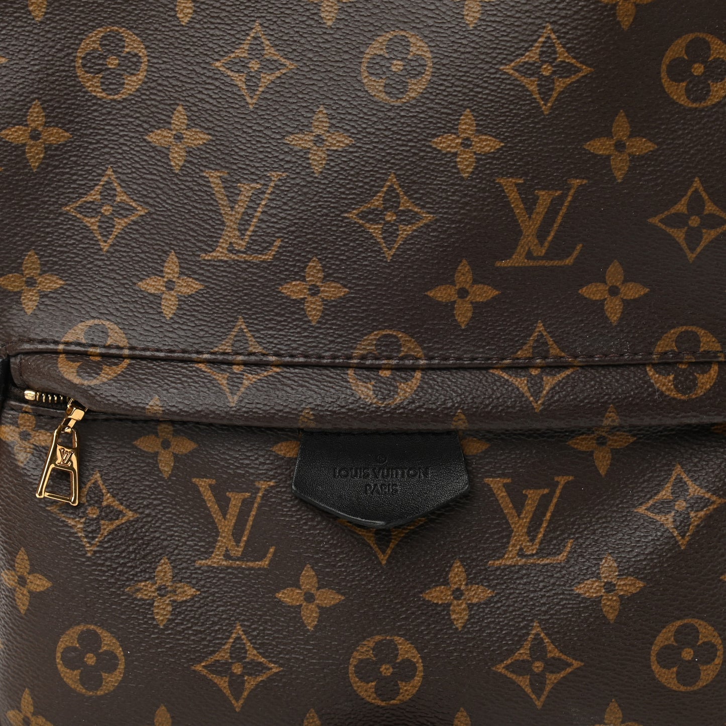 Monogram Palm Springs Backpack MM