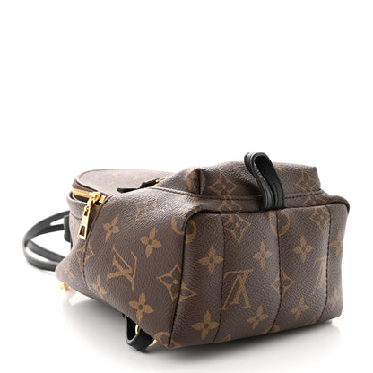 Louis Vuitton Monogram Palm Springs Backpack Mini 4 of 13