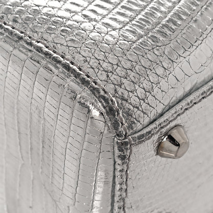 Christian Dior Metallic Lizard Mini Lady Dior Silver 7 of 18