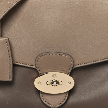Mulberry Polished Calfskin Suede Tricolor Primrose 8 of 16