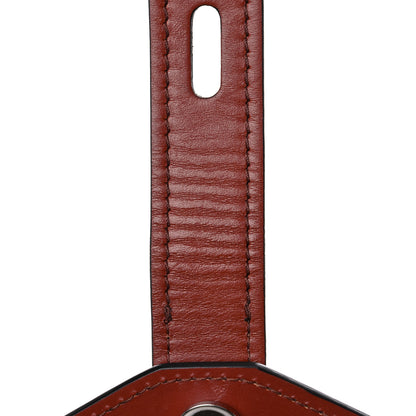 Chloe Shiny Goatskin Calfskin Mini Aby Chain Shoulder Bag Sepia Brown 13 of 17