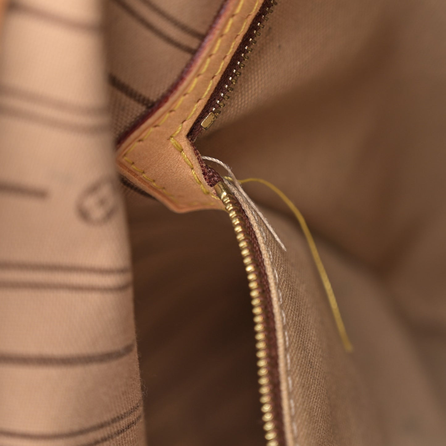 Monogram Delightful MM