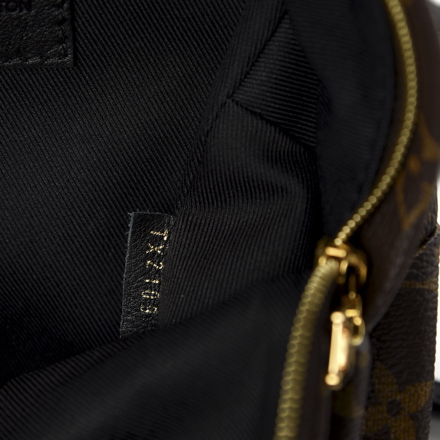 Monogram Palm Springs Backpack Mini