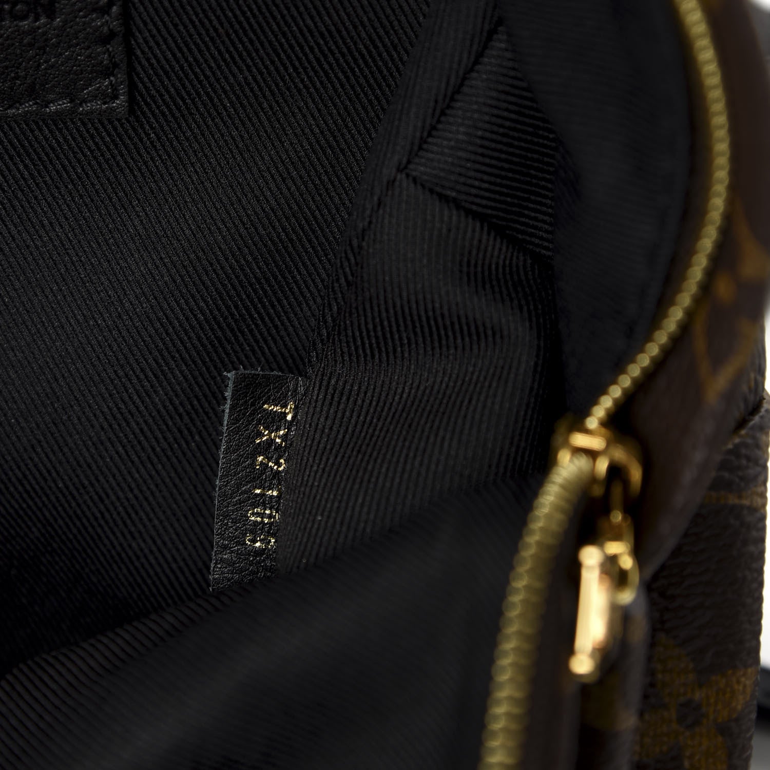 Louis Vuitton Monogram Palm Springs Backpack Mini 7 of 10