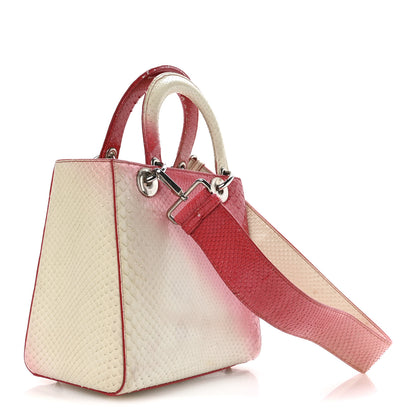 Christian Dior Snakeskin Ombre Medium Lady Dior Red White 3 of 11