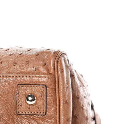 Mulberry Ostrich Bayswater Oak 12 of 13