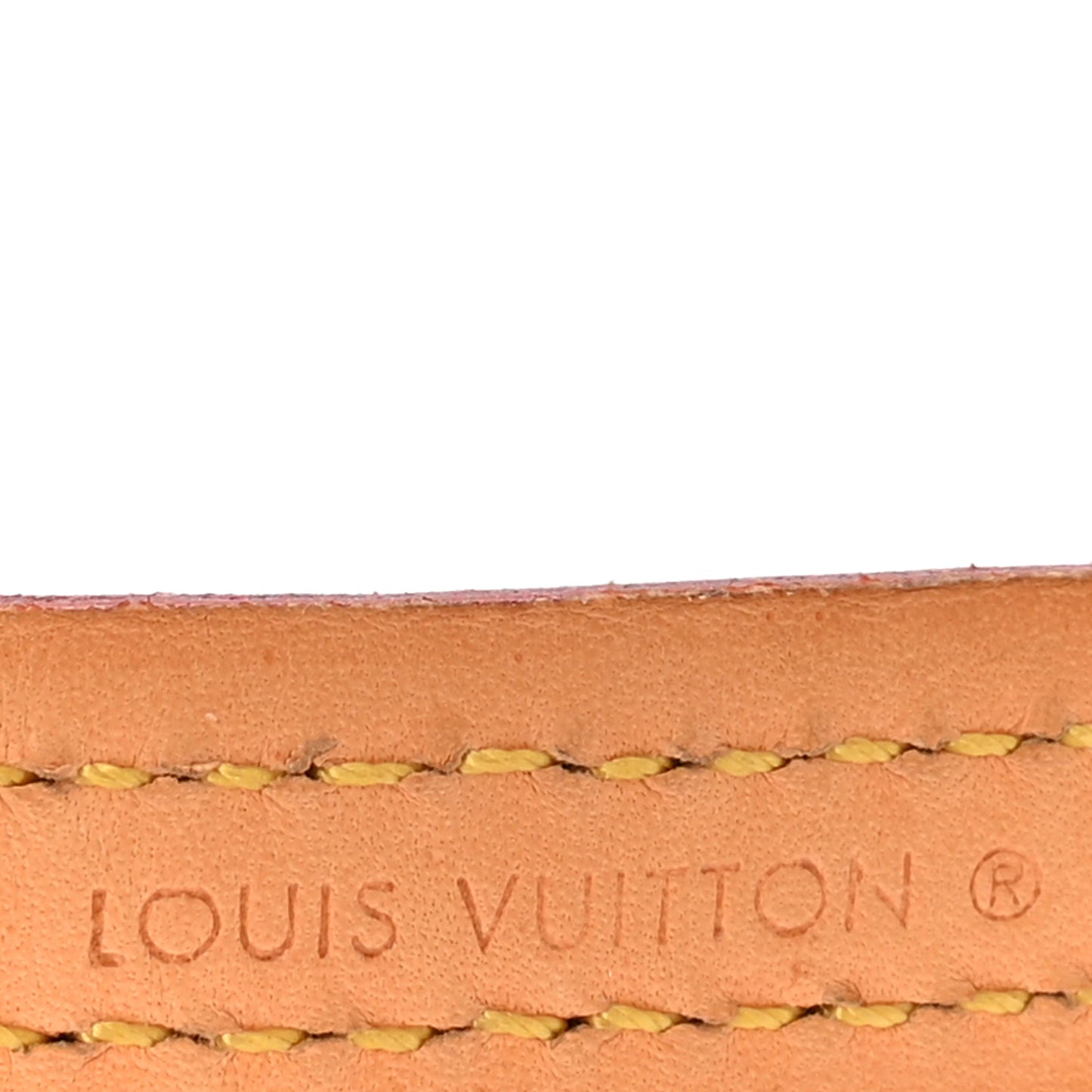 Monogram Baxter Dog Leash MM