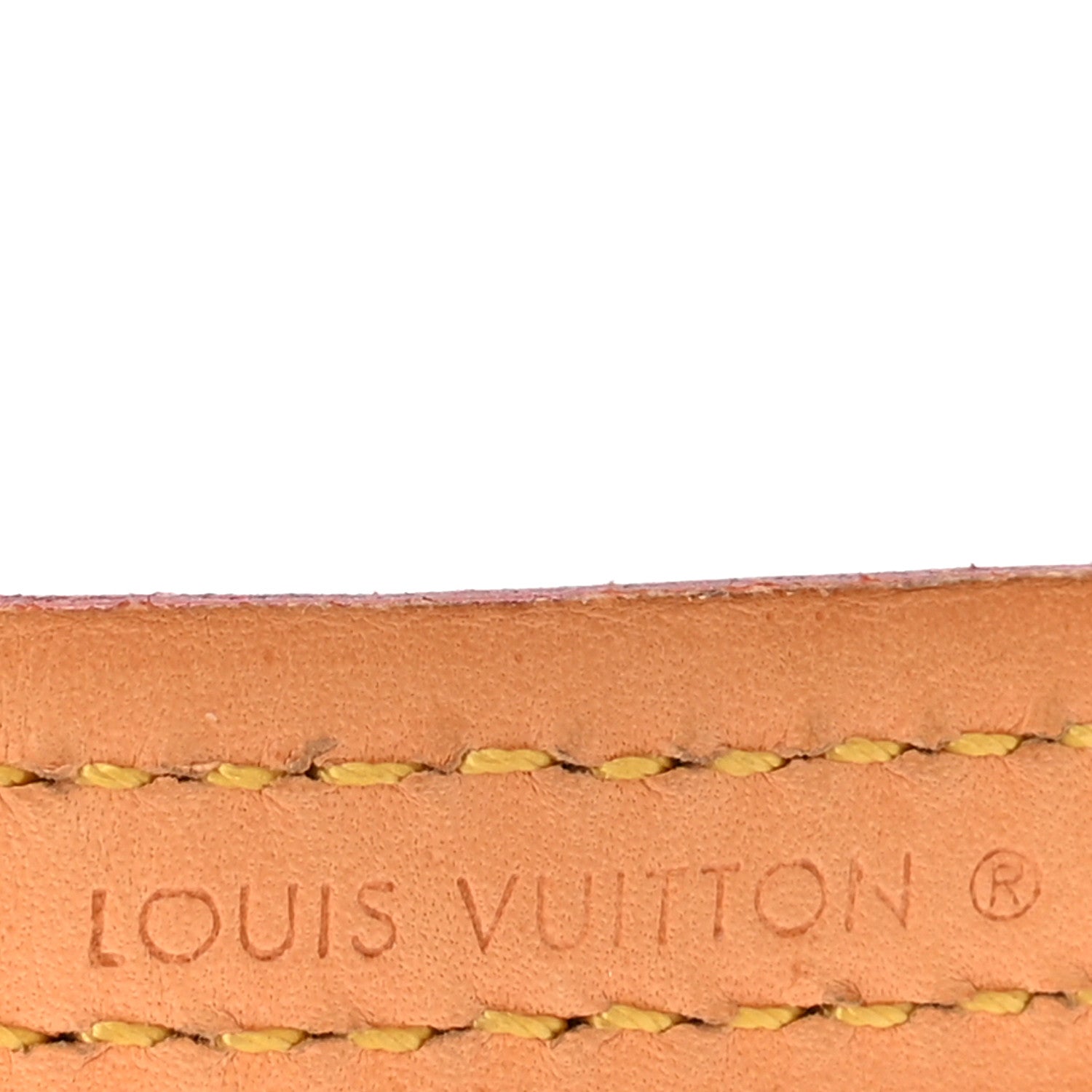 Louis Vuitton Monogram Baxter Dog Leash MM 4 of 6